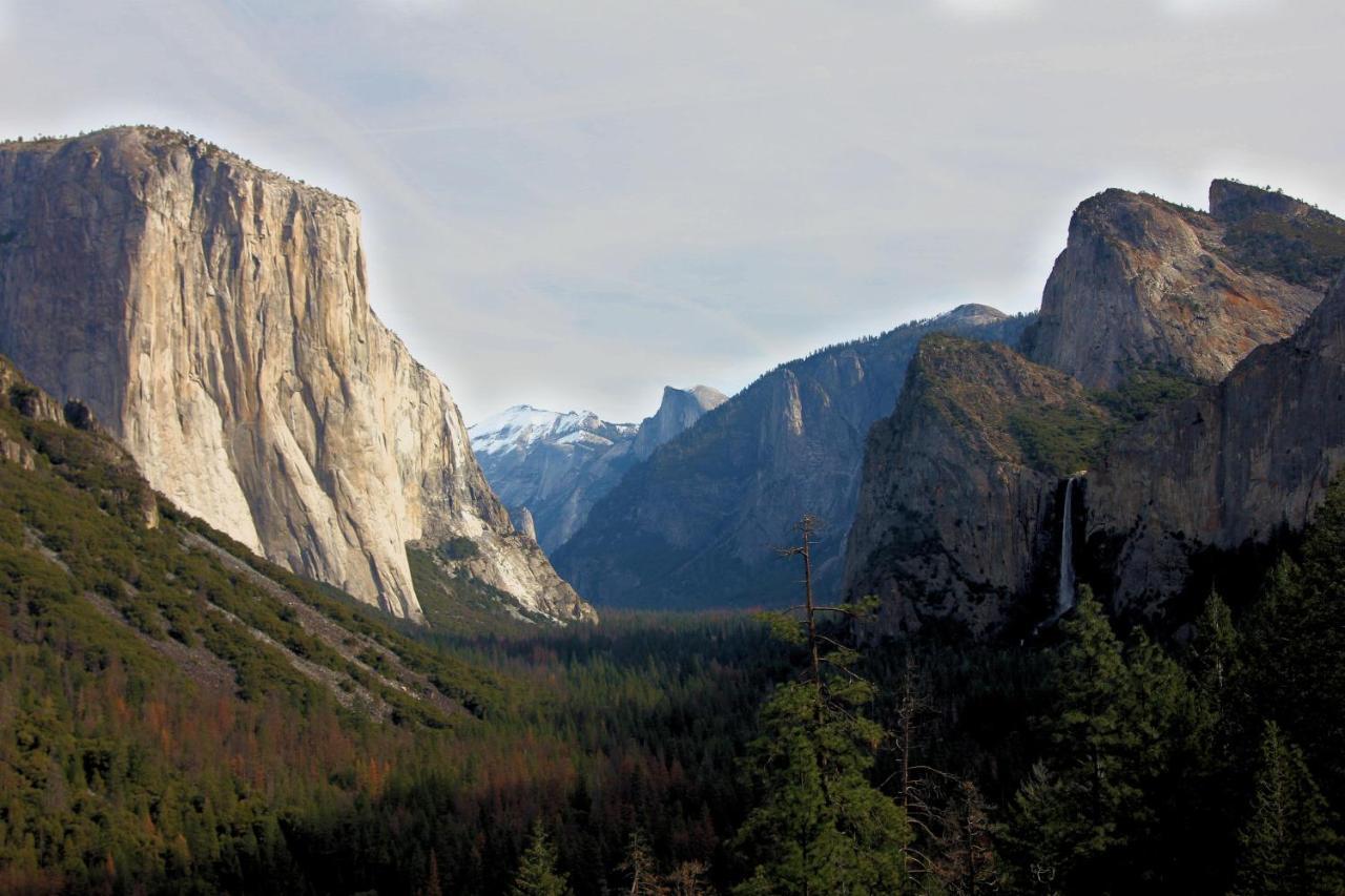 Tree House Lodge Yosemite West Luaran gambar