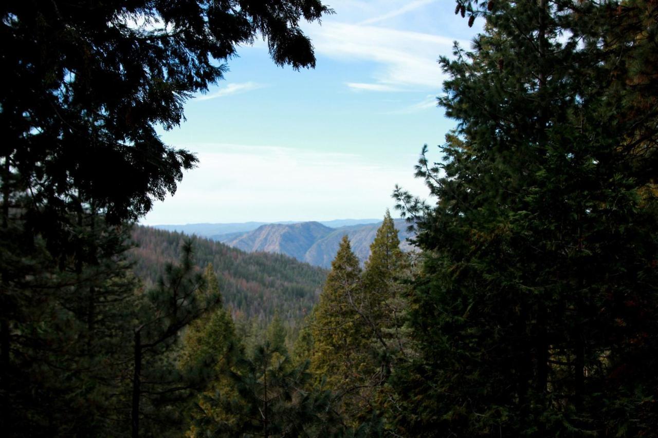 Tree House Lodge Yosemite West Luaran gambar